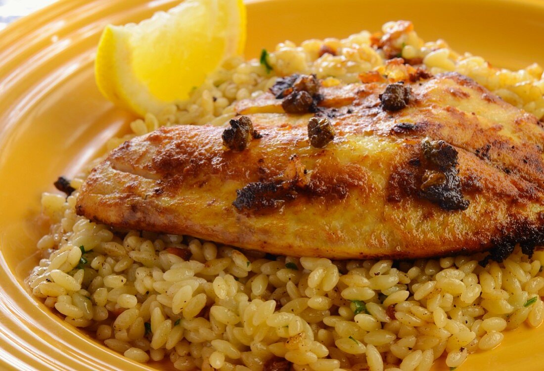 Orzo Topped with Pan Seared Talapia