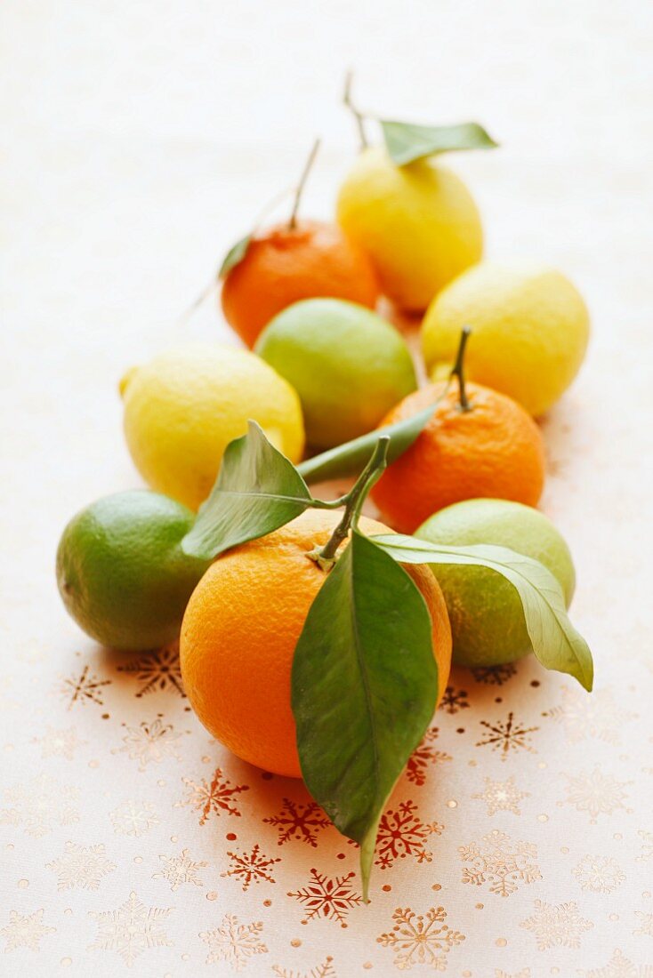Various types of citrus fruit