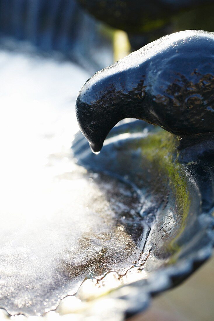 Bird bath in winter