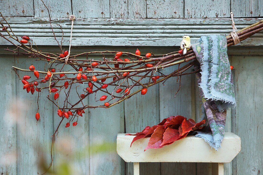 Branch of rosehips on wooden wall