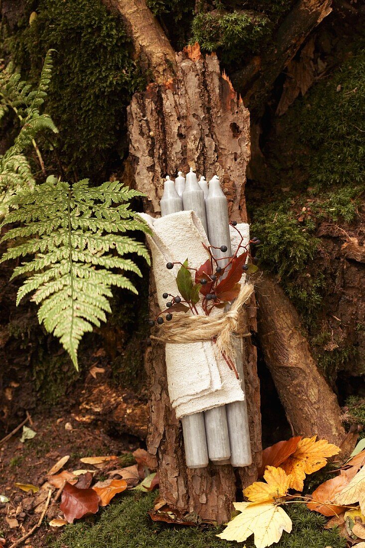 Candles and napkin on bark