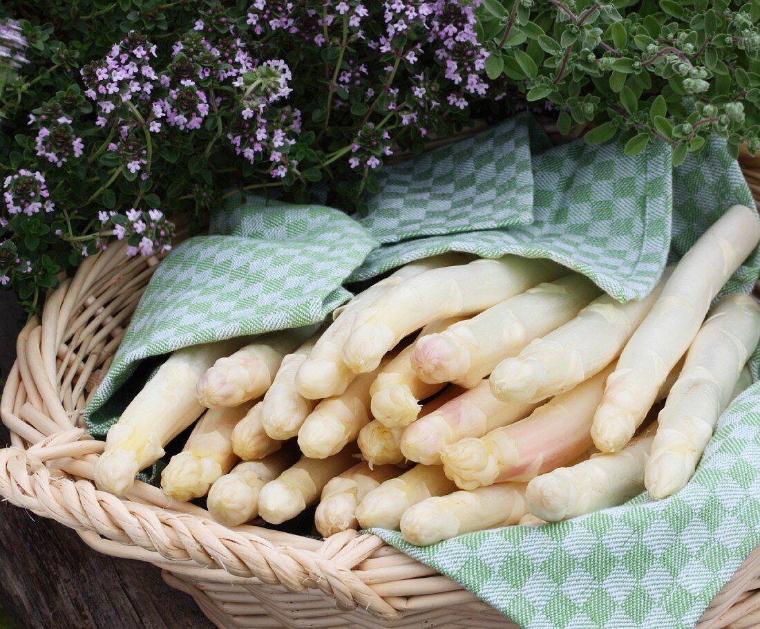 White asparagus in a basket