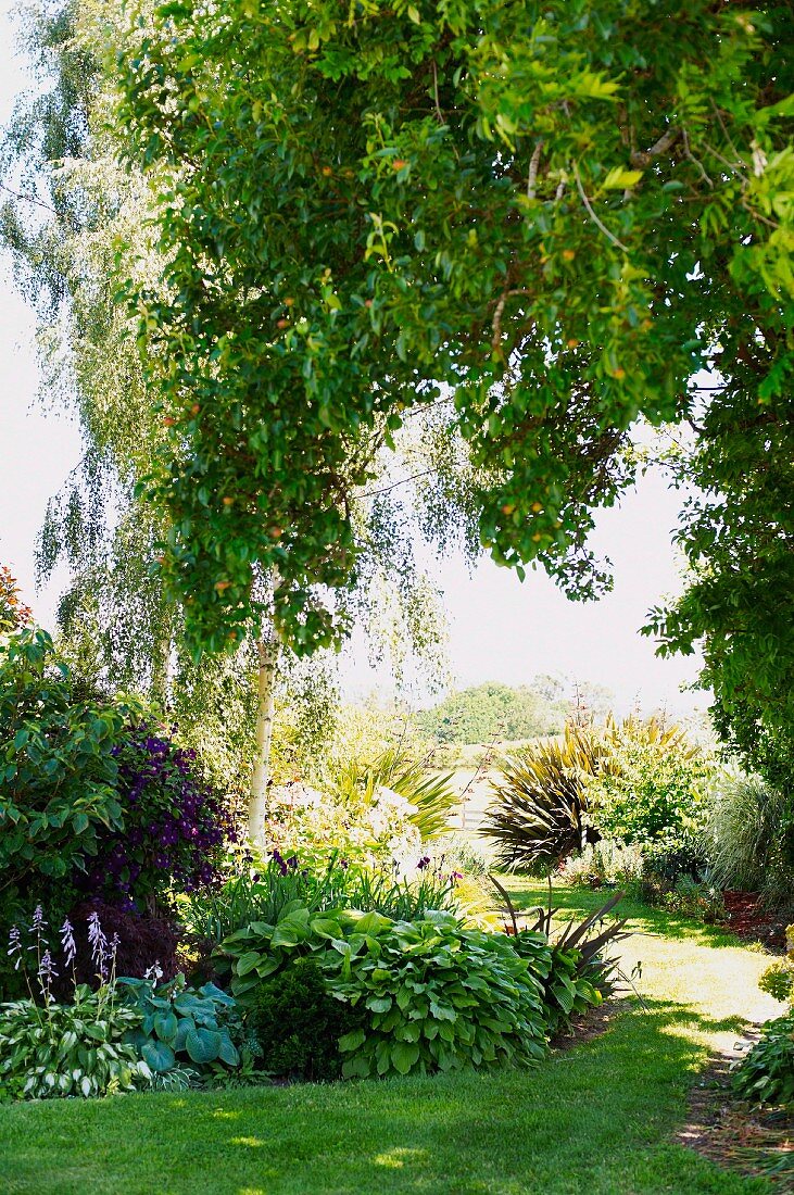 Garden with greenery, flowers and trees