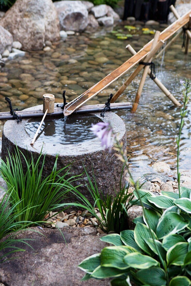 Teichlandschaft im Garten - Steintrog mit filigran gestaltetem Wasserzulauf aus einem aufgeschnittenen Bambusrohr