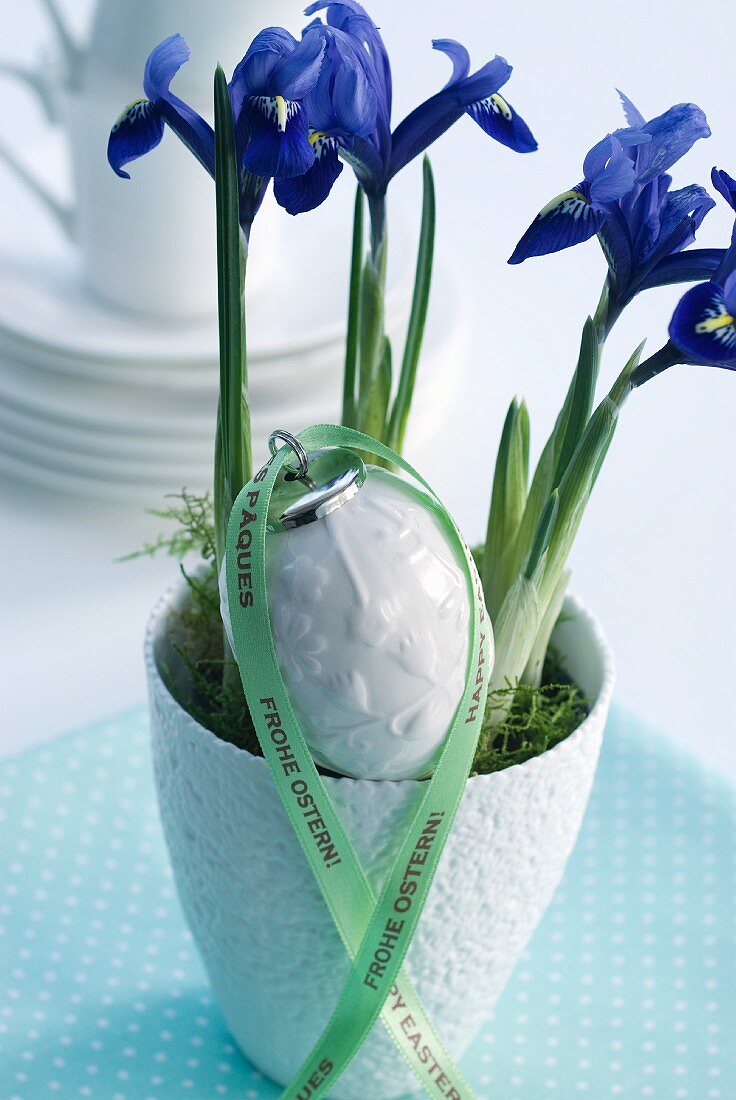 Iris und Porzellanei für Ostern