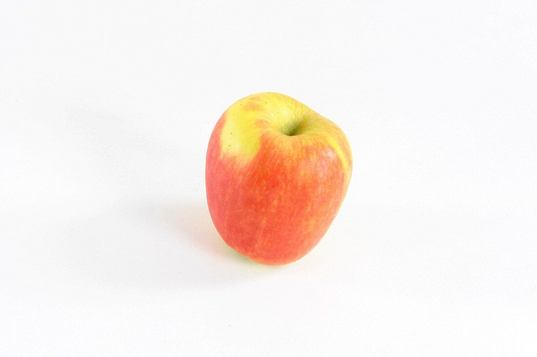 Ein Apfel der Sorte Delcorf