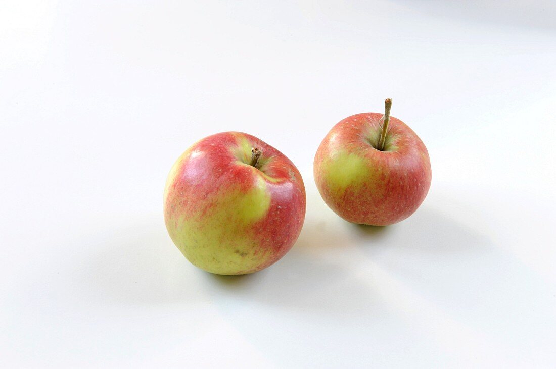 Zwei Äpfel der Sorte Rosana