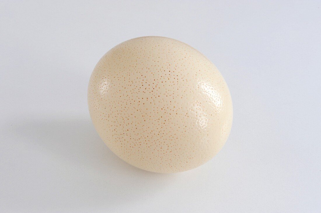An ostrich egg