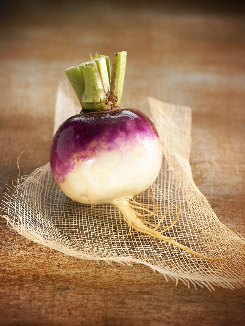 A white turnip