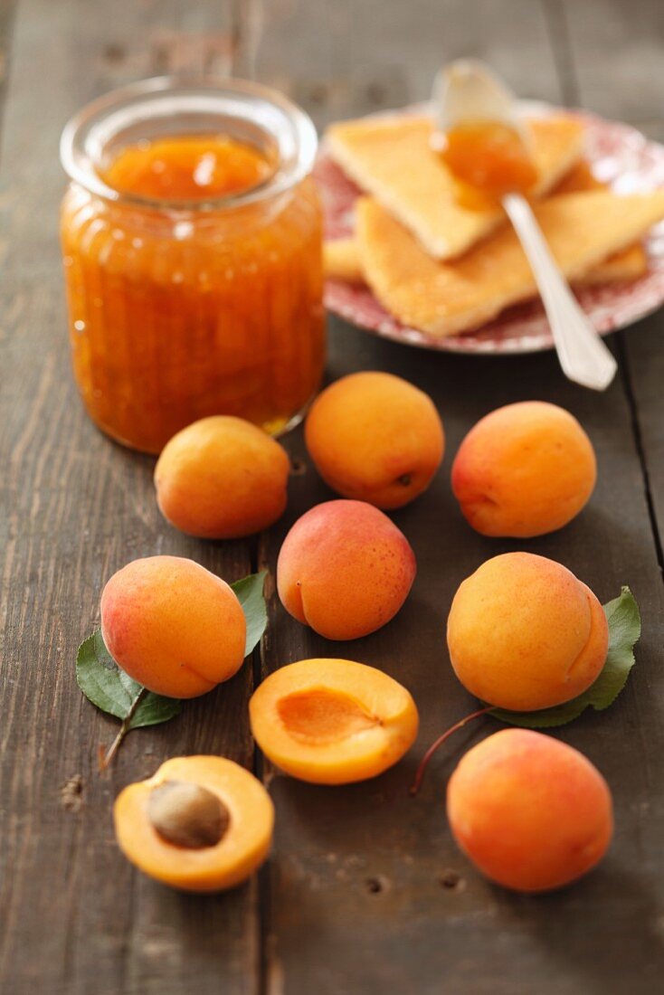 Aprikosenmarmelade und frische Aprikosen