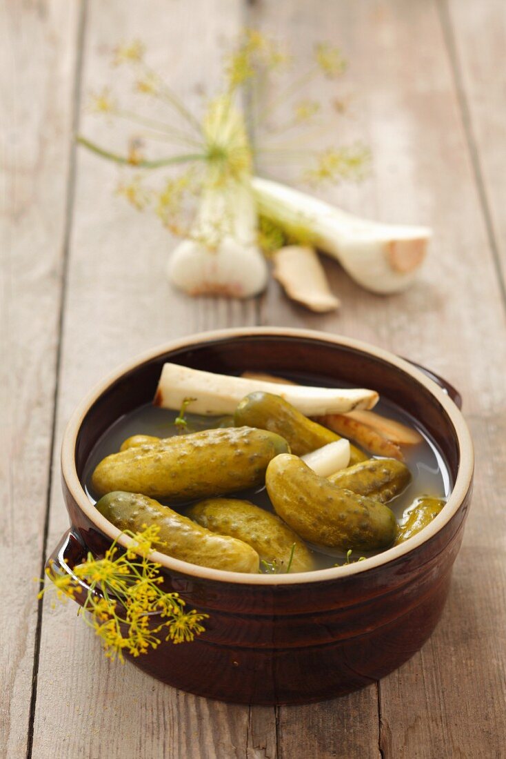 Essiggurken mit Knoblauch, Meerrettich und Dill