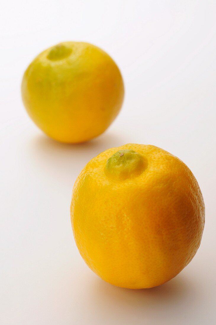 Two bergamot oranges