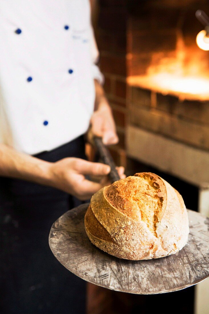 Fresh bread straight out the oven