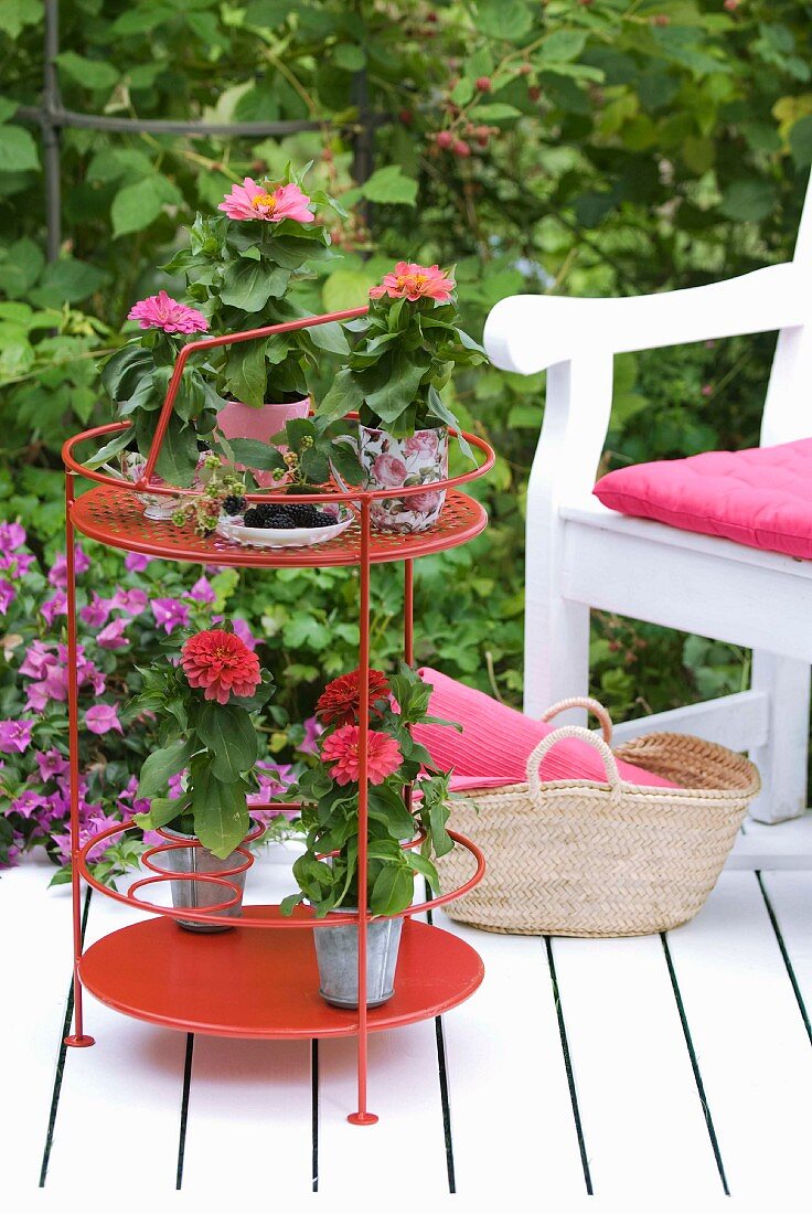 Weisses Holzdeck mit pinkfarbener Deko und Blumentöpfen auf kleinem, roten Serviertisch mit Flaschenhaltern