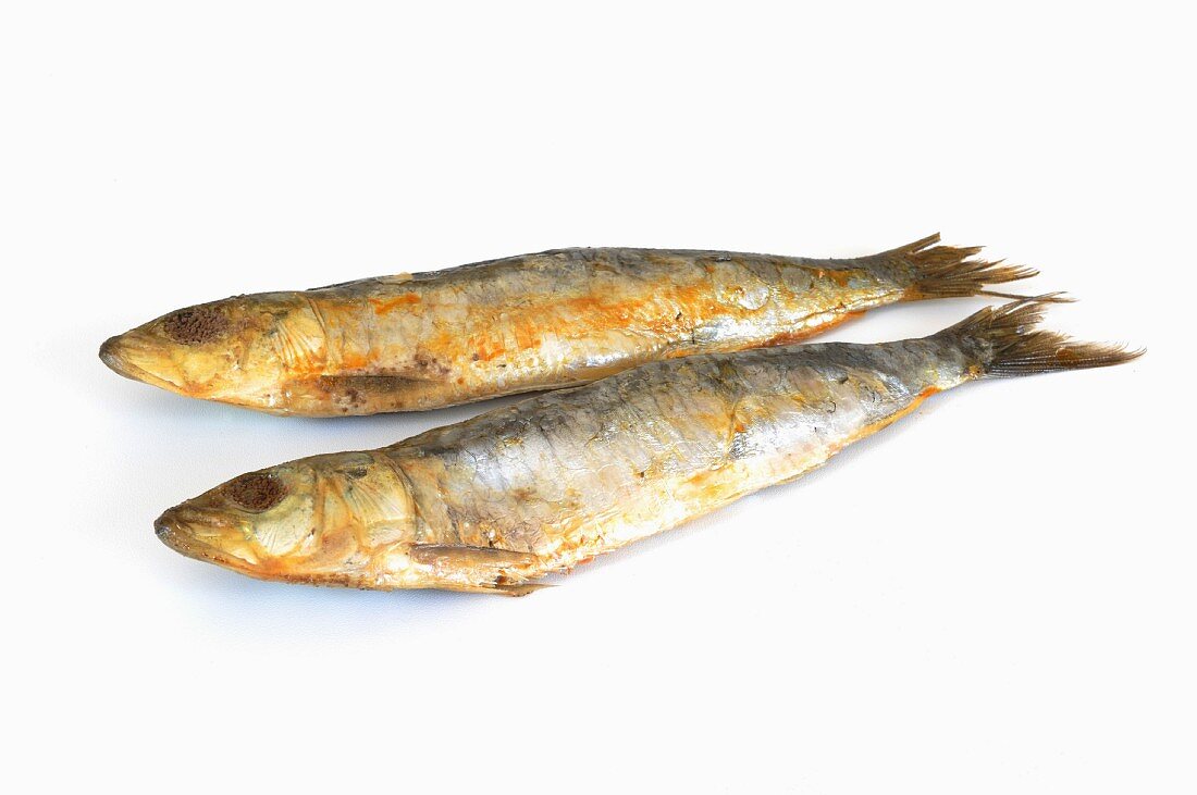 Two salted herrings