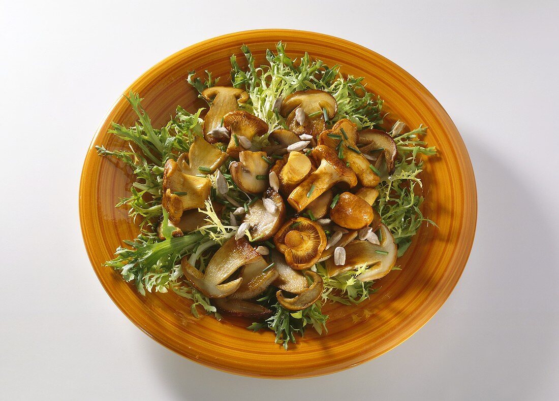 Mushroom Salad with Curly Endive