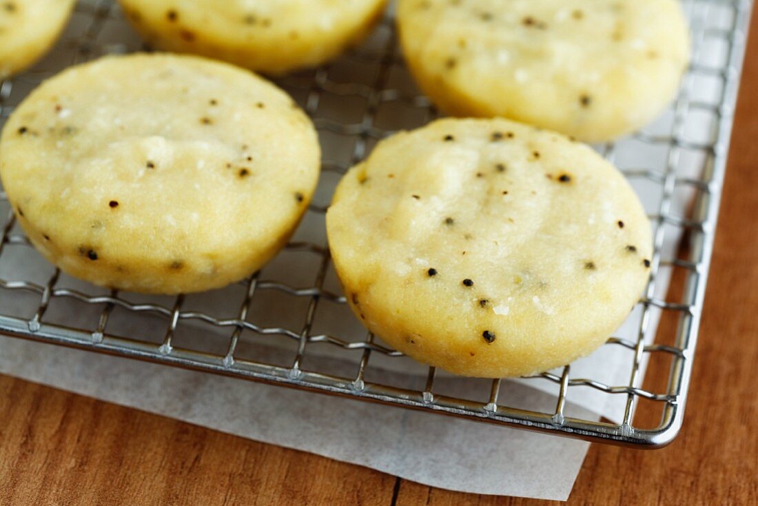 Idli (gedämpfte Teigbällchen, Indien)