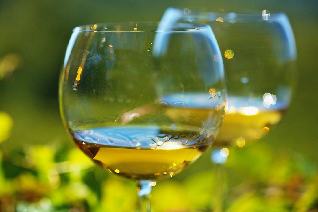 Weißwein aus dem Friaul im Glas