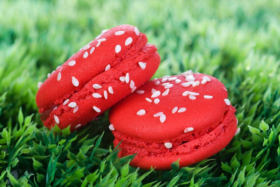 Two strawberry macaroons on the grass