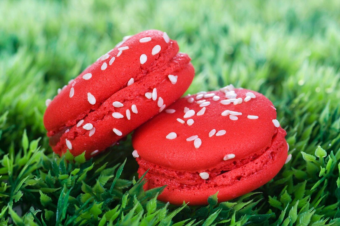 Zwei Erdbeer-Macarons im Gras