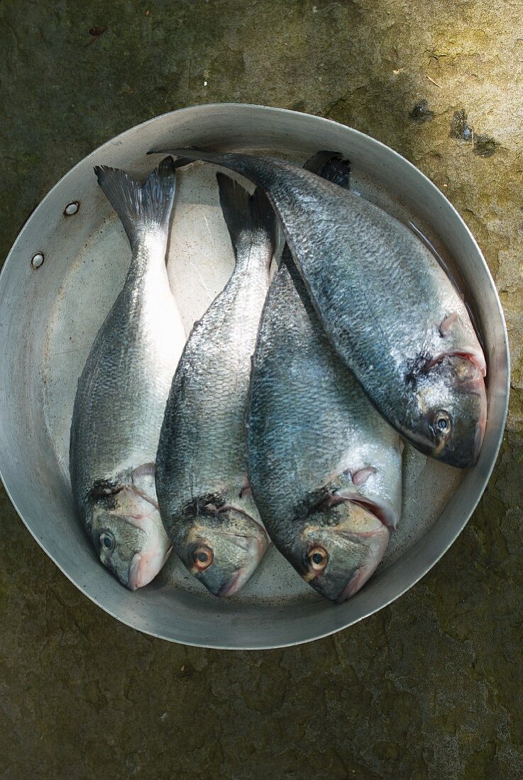 Vier Fische in einer Pfanne