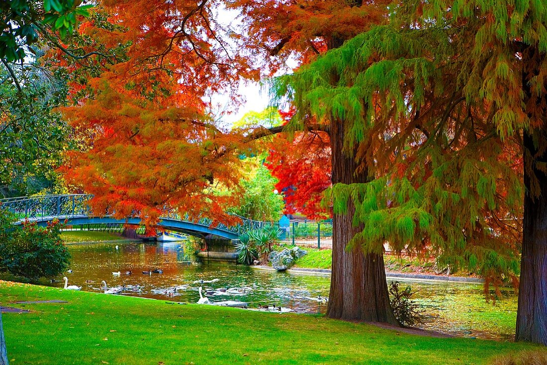 Autumn atmosphere in park with river