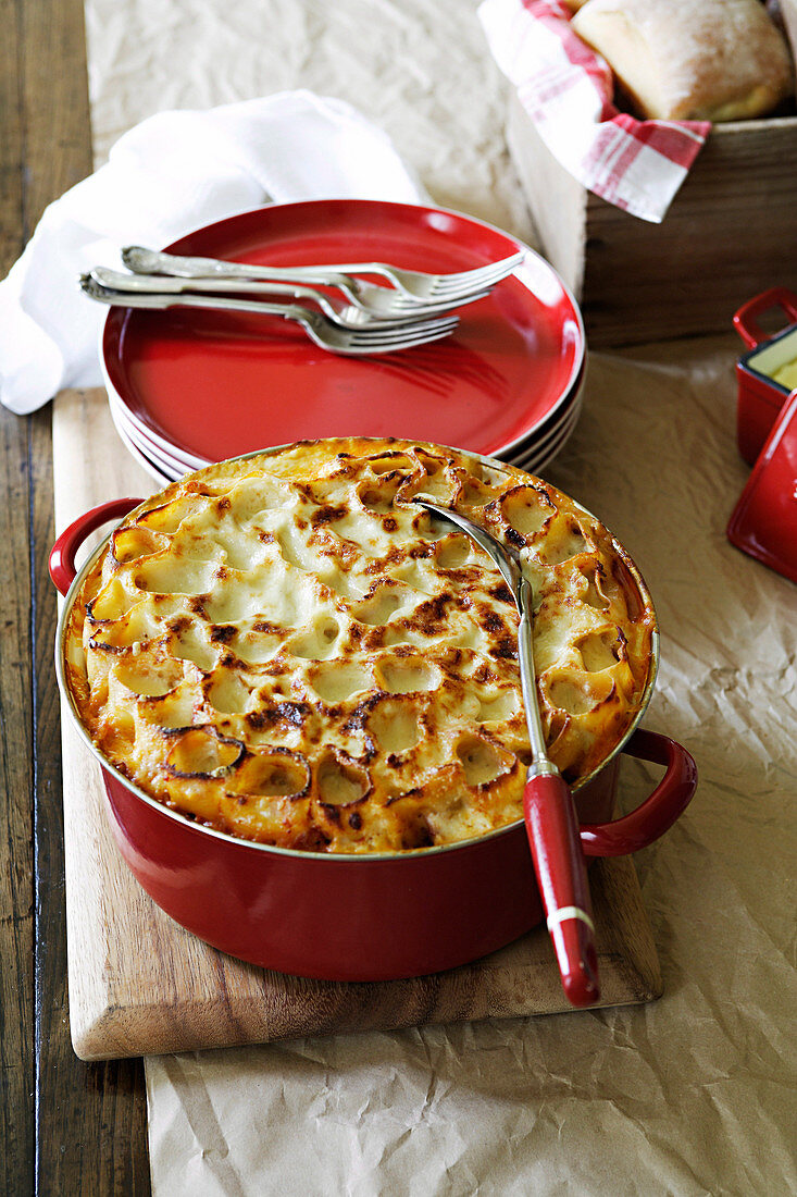 Cannelloni al forno (Überbackene Cannelloni, Italien)