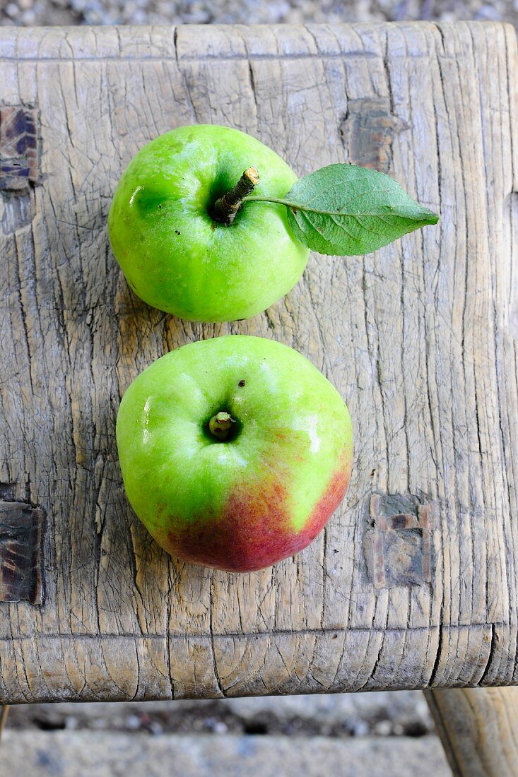 Two Ontario apples (winter apples)