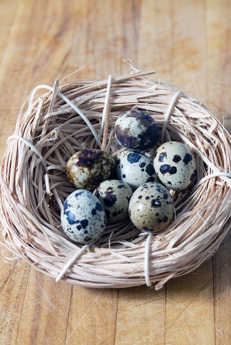 Mehrere Wachteleier im Nest