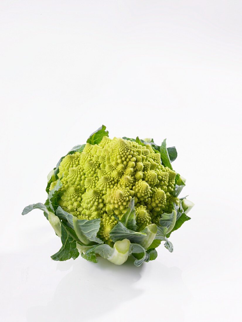 A head of romanesco broccoli