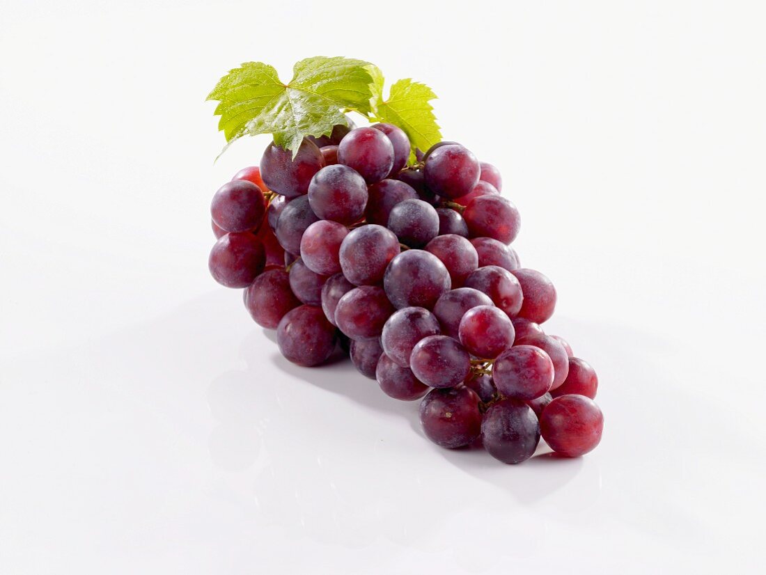 Rote Trauben mit Weinblättern