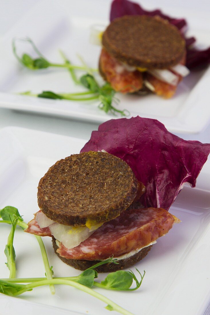 Pumpernickel bread topped with salami and radicchio