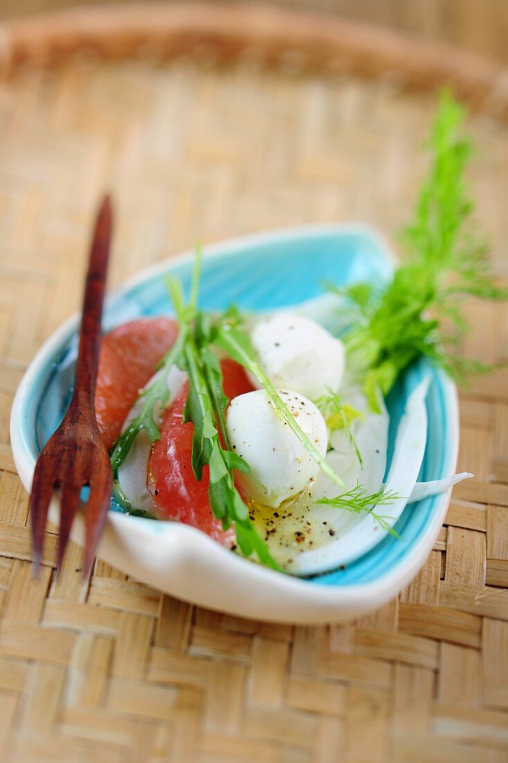 Fenchel mit Mozzarella und Tomaten