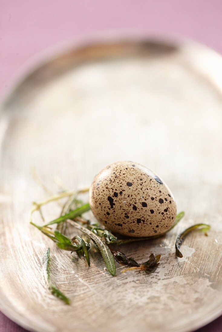 A quail's egg on a silver tray