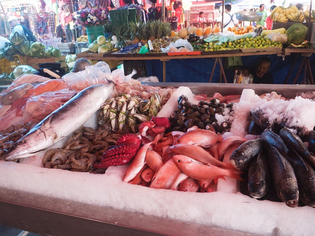 Fresh Seafood Display at an Outdoor Market