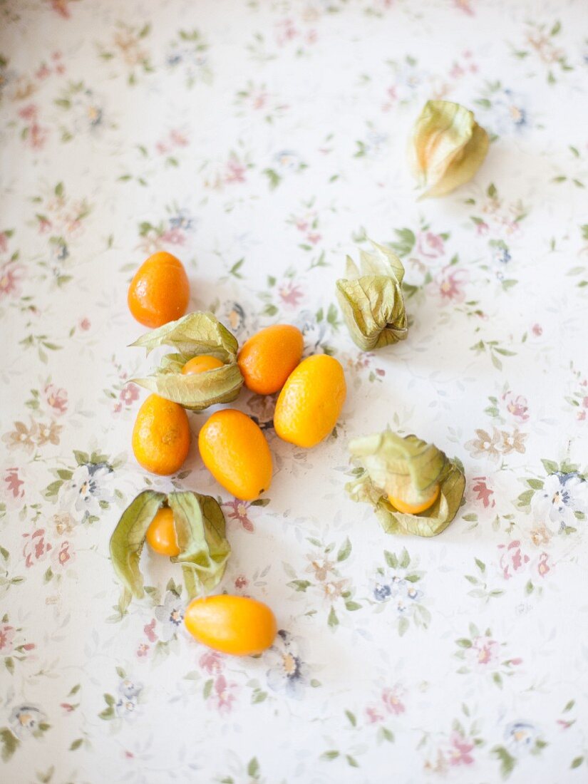 Kumquat is an physalis on a floral patterned tablecloth