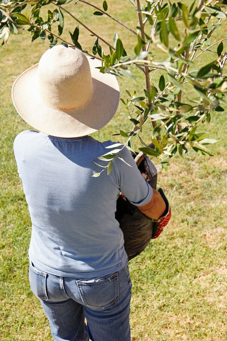 Woman carrying potted plant into garden