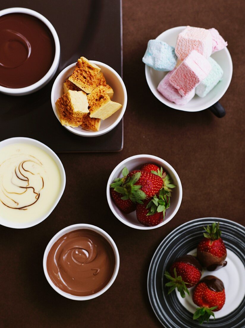 Schokoladenfondue mit Erdbeeren, Kuchen und Marshmallows