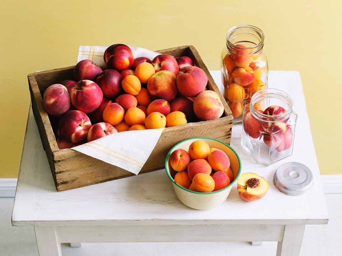 Nektarinen, Pfirsiche und Aprikosen zum Einmachen