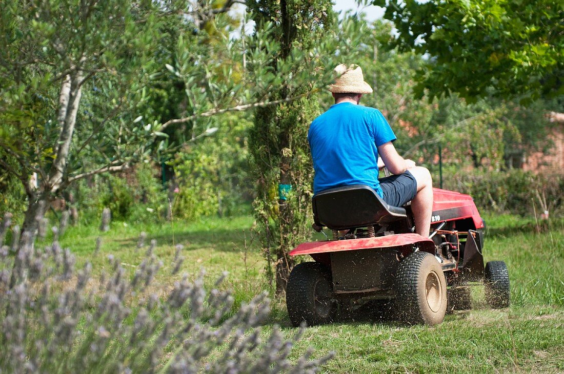 Mann fährt mit Rasentraktor durch den Garten