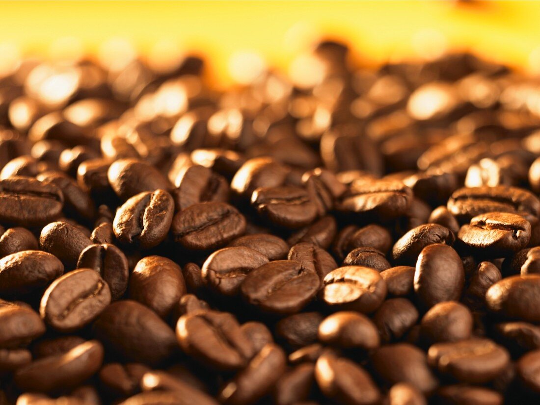 Viele Kaffeebohnen (Close Up)