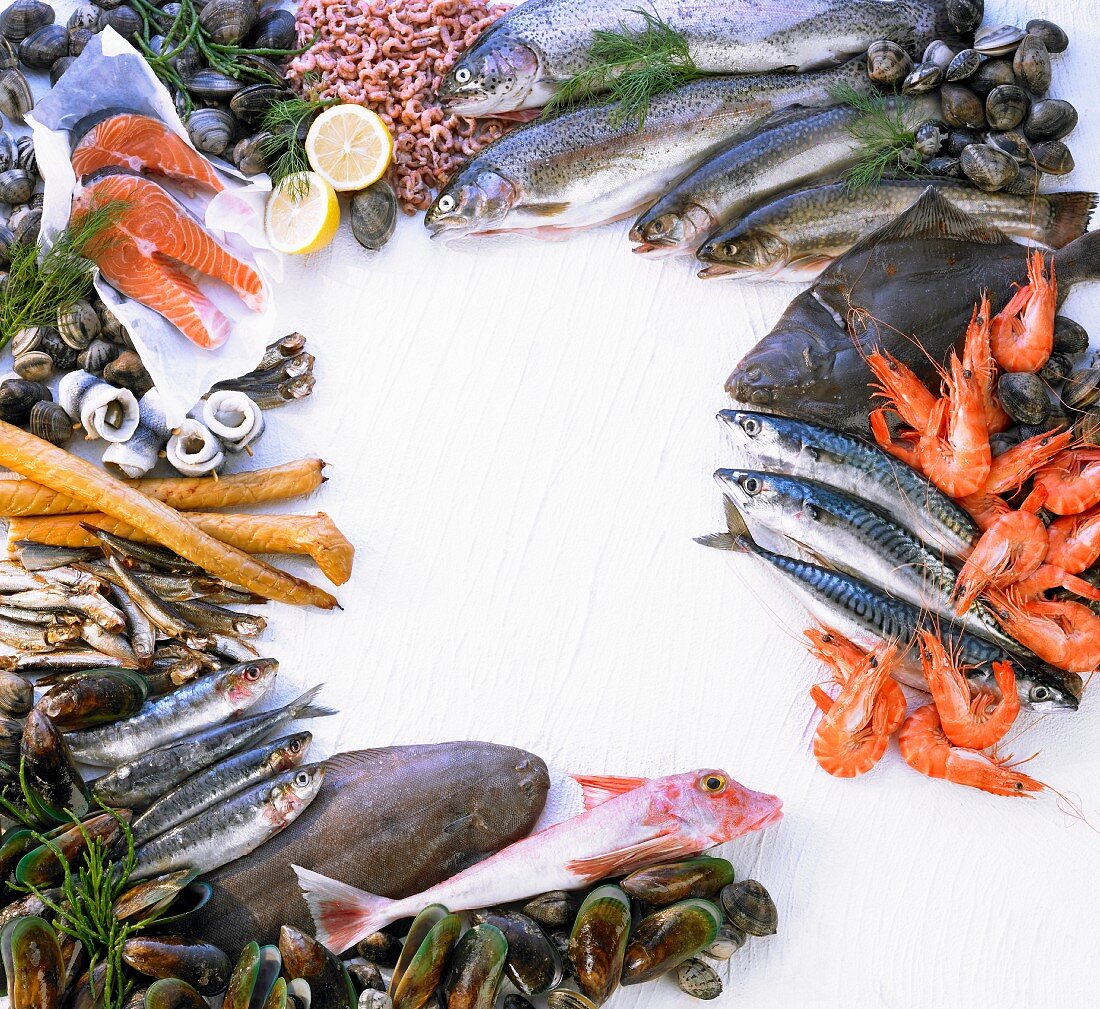 Fische und Meeresfrüchte um den Bildrand