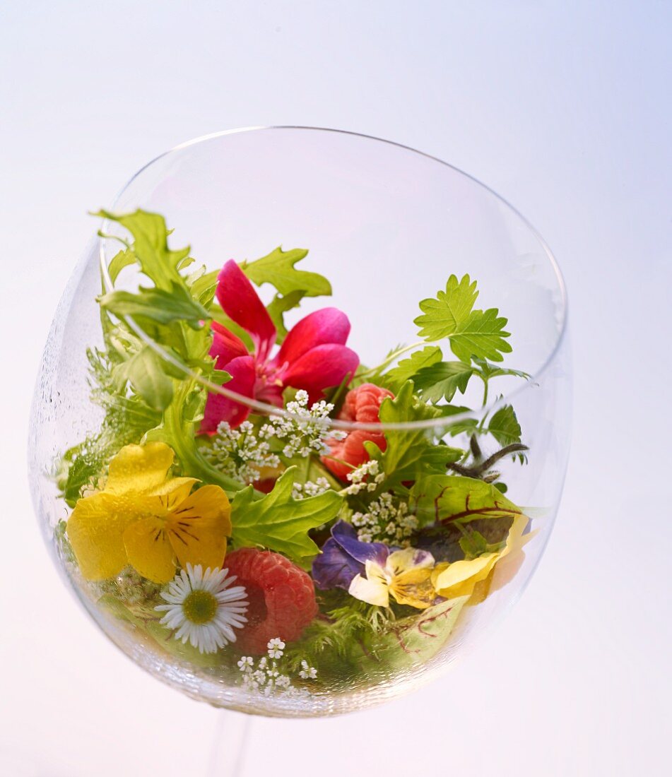 A wild herb salad with edible flowers and raspberries