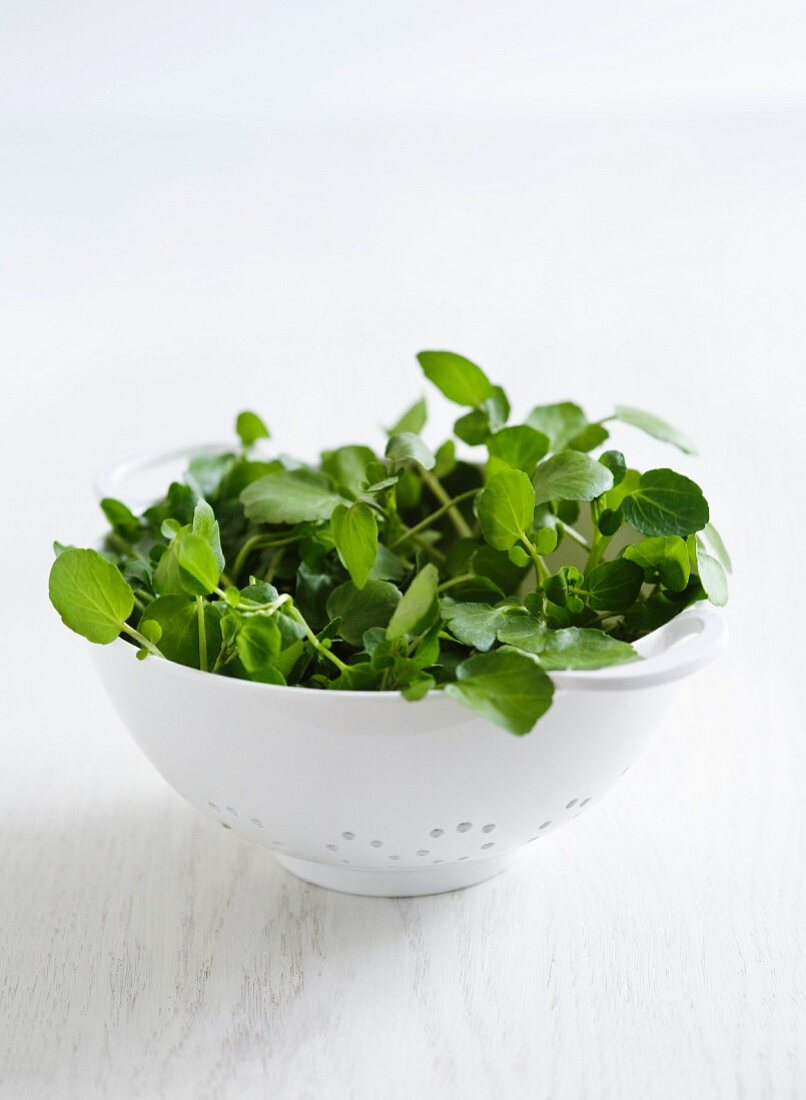 Fresh watercress in a colander