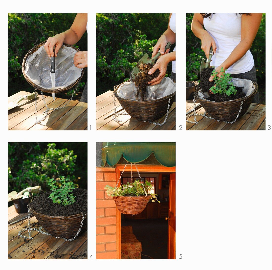 Gardening - planting flowering plants in hanging baskets