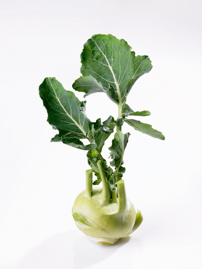 A kohlrabi on a white surface