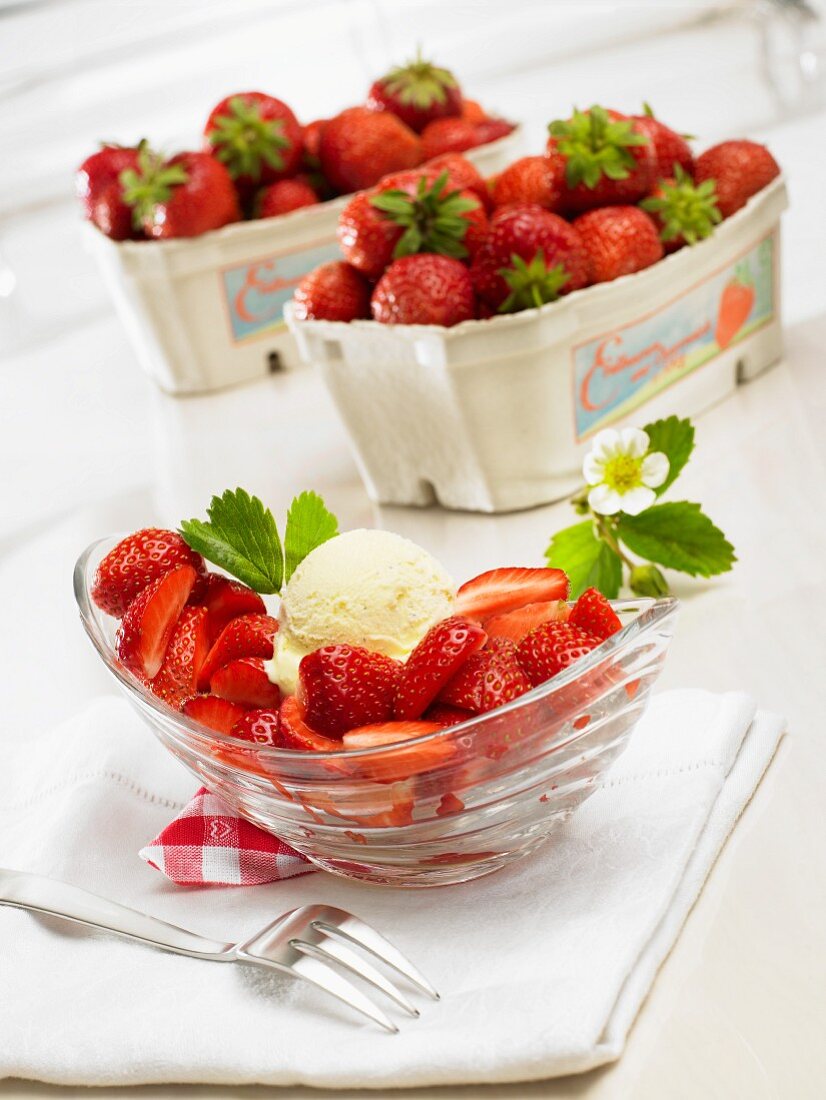 Erdbeeren mit Vanilleeis
