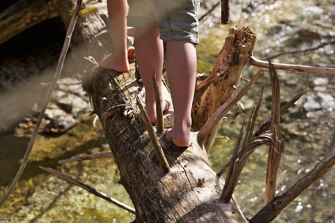 Mädchenfüsse balancieren auf einem Baumstamm