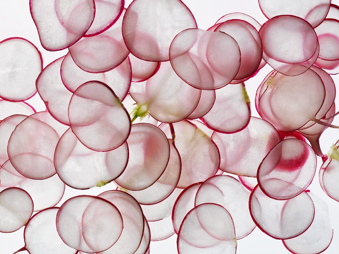 Radish slices seen from above