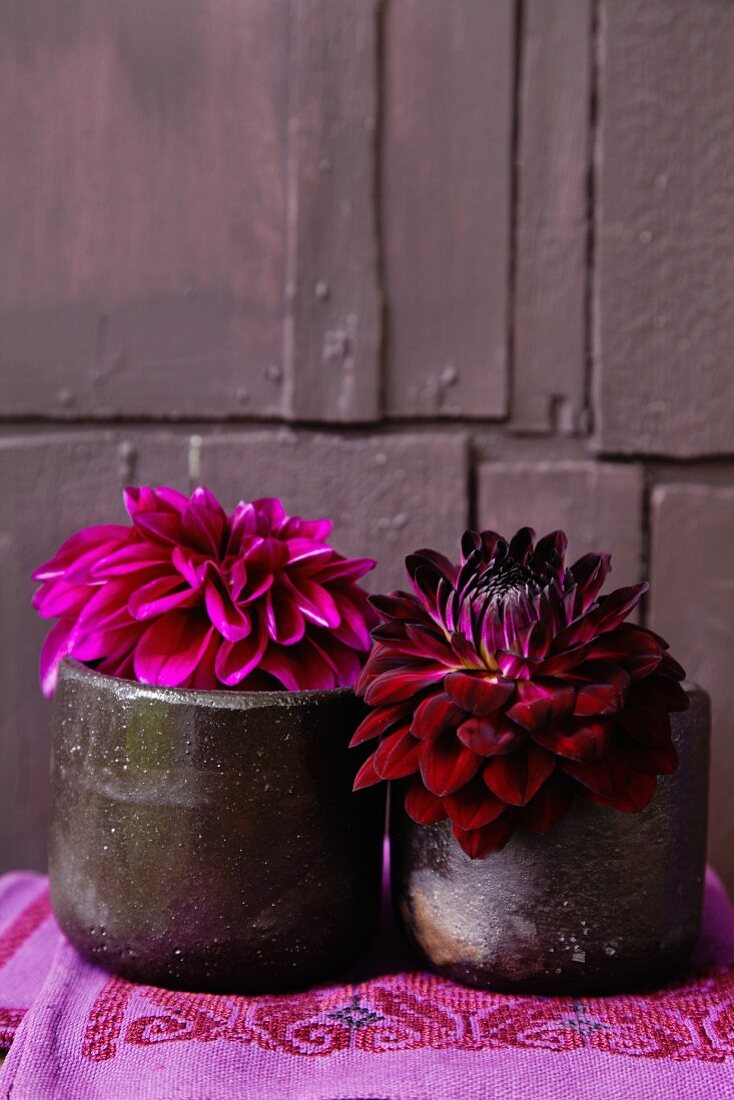 Short-stemmed dark red and crimson dahlias in stoneware beakers on embroidered linen cloth